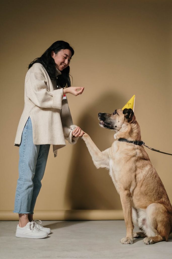 pexels photo 6568483 A woman joyfully trains her dog wearing a birthday hat in a studio setting.