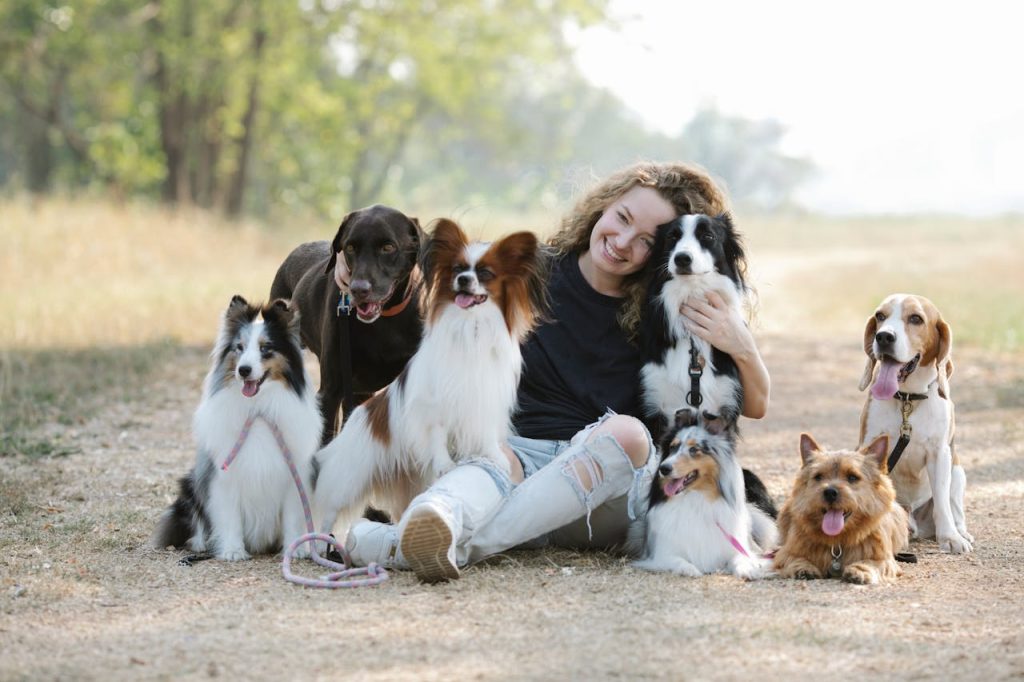pexels photo 7210695 A cheerful woman sitting with various dog breeds in a sunny park, showcasing companionship.